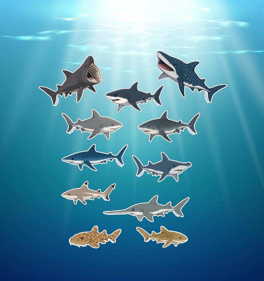 AniMINIs: Anime Shark Matte Sticker Sheet