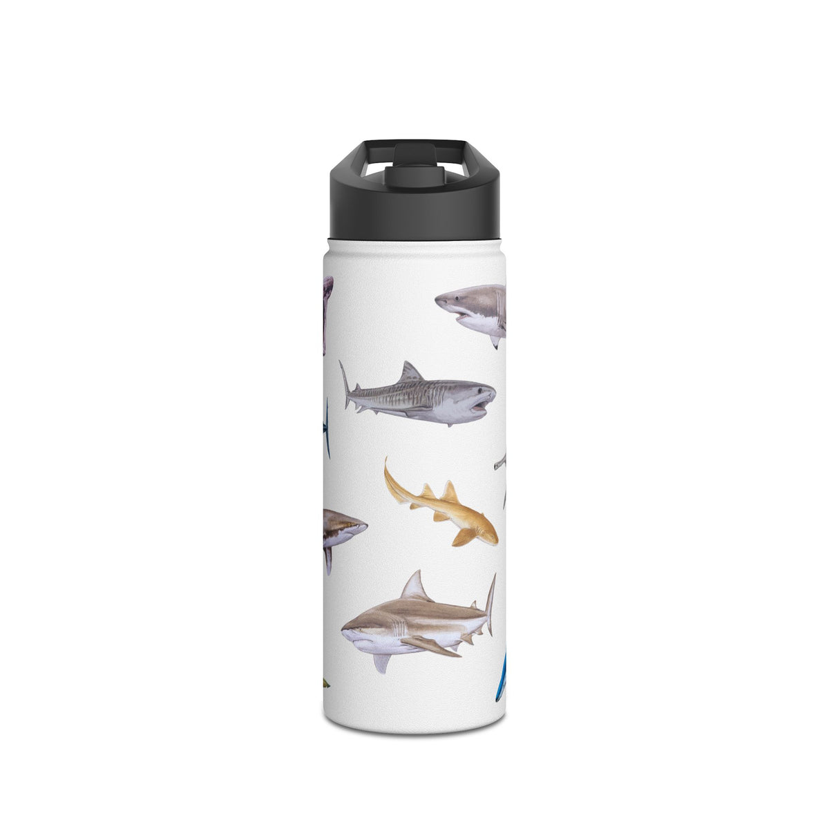 Shark Ocean-Inspired Stainless Steel Water Bottle