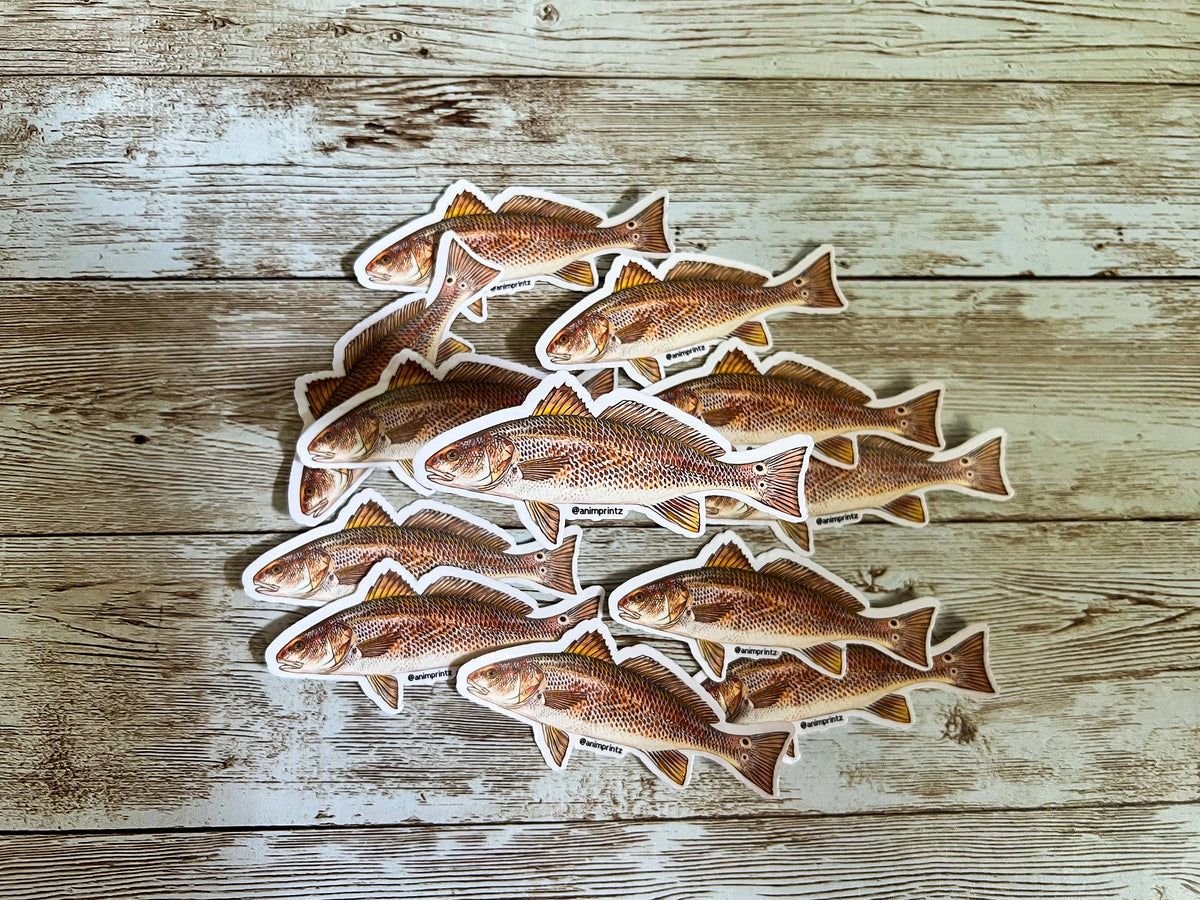 Red Drum Matte Vinyl Sticker