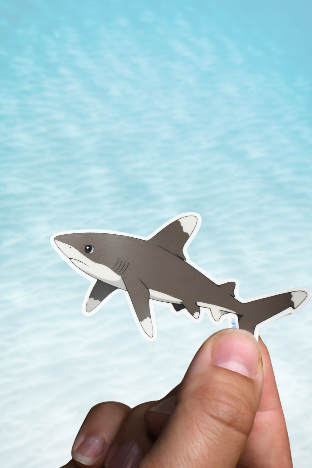 Anime Oceanic Whitetip Shark Matte Vinyl Sticker