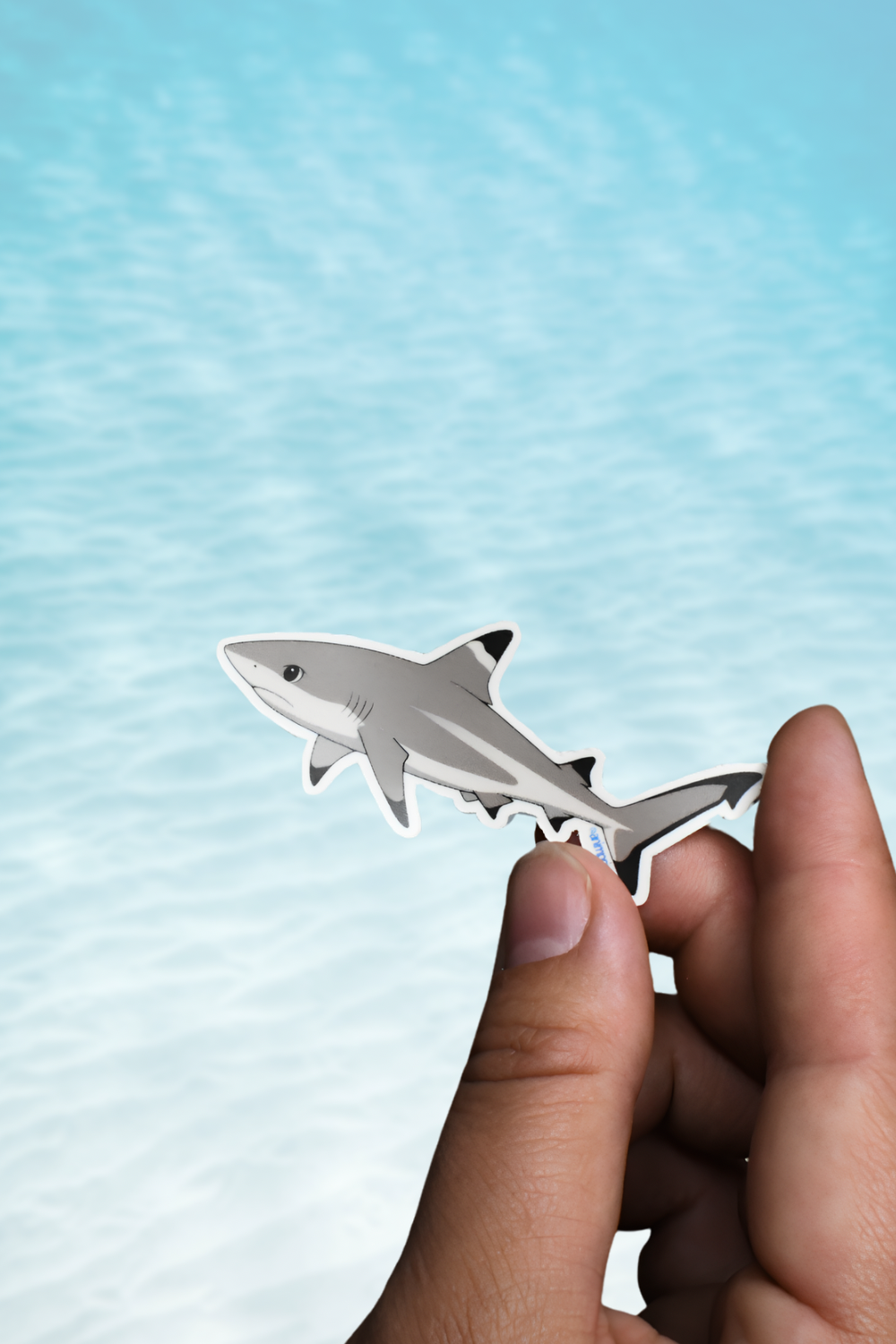 Anime Reef Shark Matte Vinyl Sticker