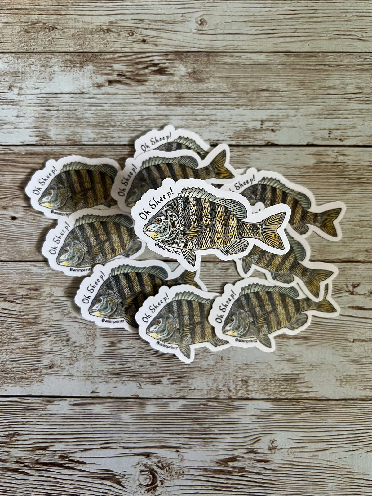 Sheepshead Vinyl Sticker