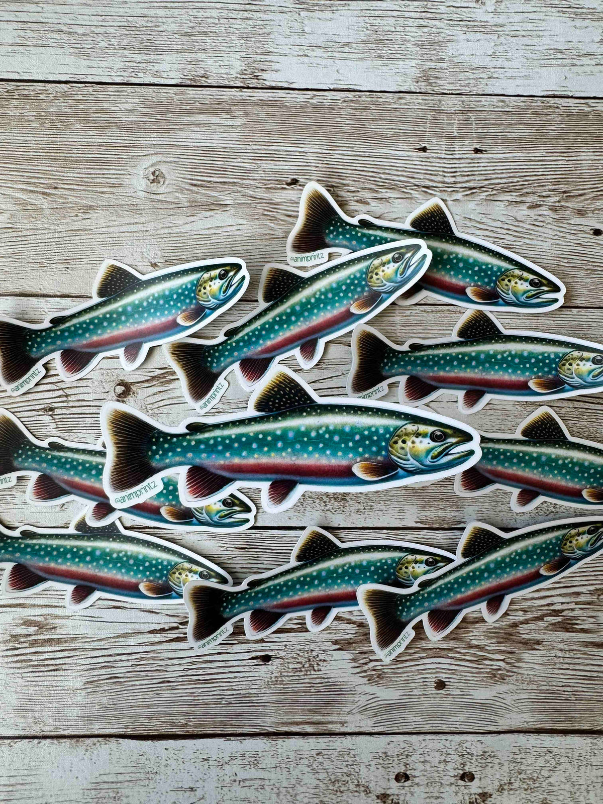 Brook Trout Matte Vinyl Sticker