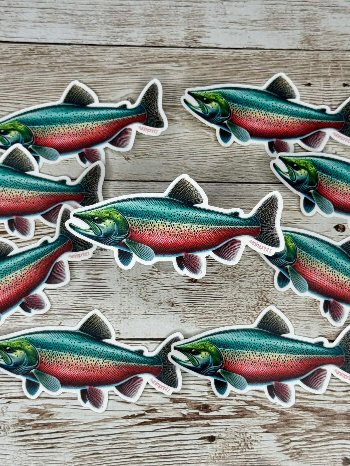Sockeye Salmon Matte Vinyl Sticker